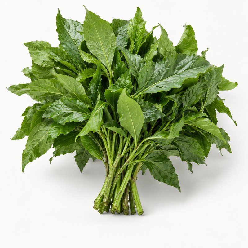 Bitterleaf (Fresh)