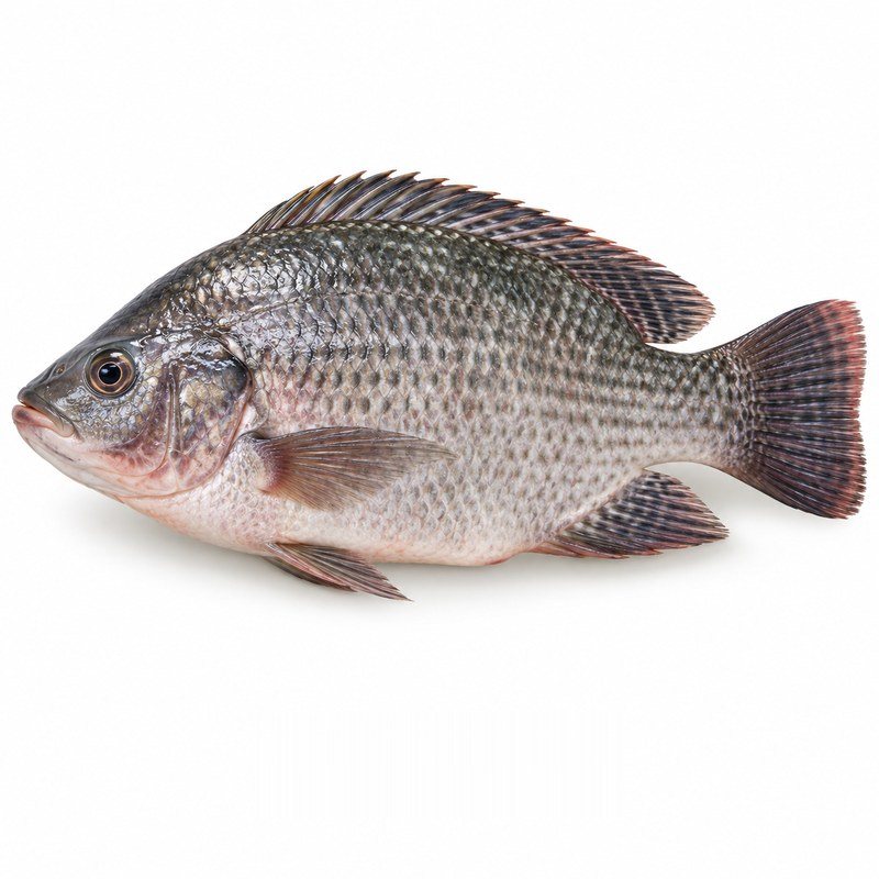Whole Tilapia (Fresh)
